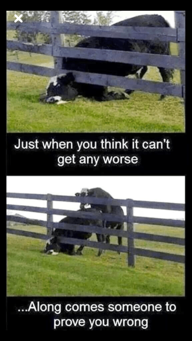 D2A96273-3A15-4AC0-AB73-994691E804C5