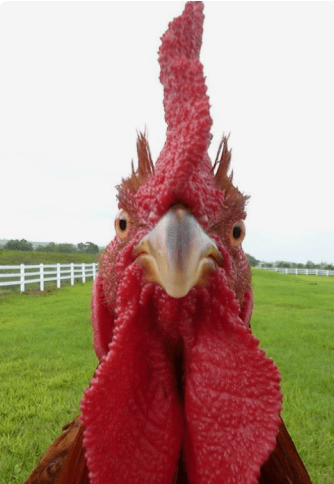 79F34B79-7E46-4BC3-93B2-CB08467A3D70